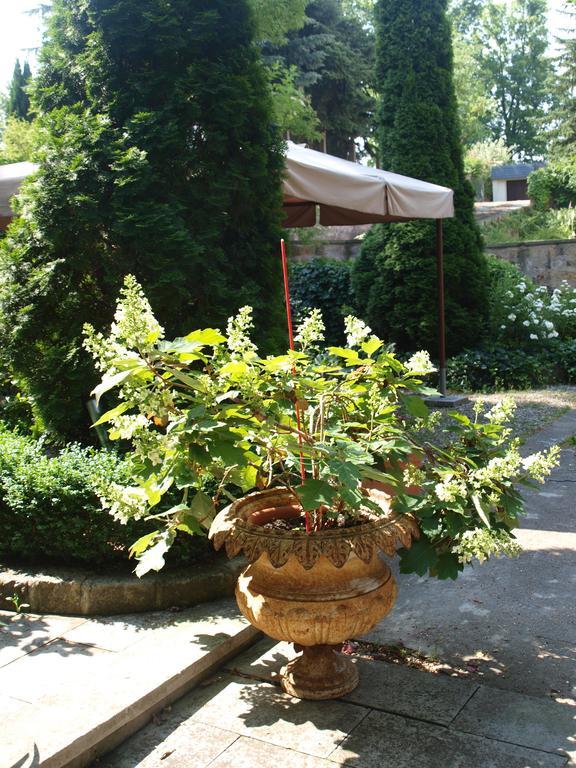 Pension Zur Koeniglichen Ausspanne Дрезден Екстер'єр фото